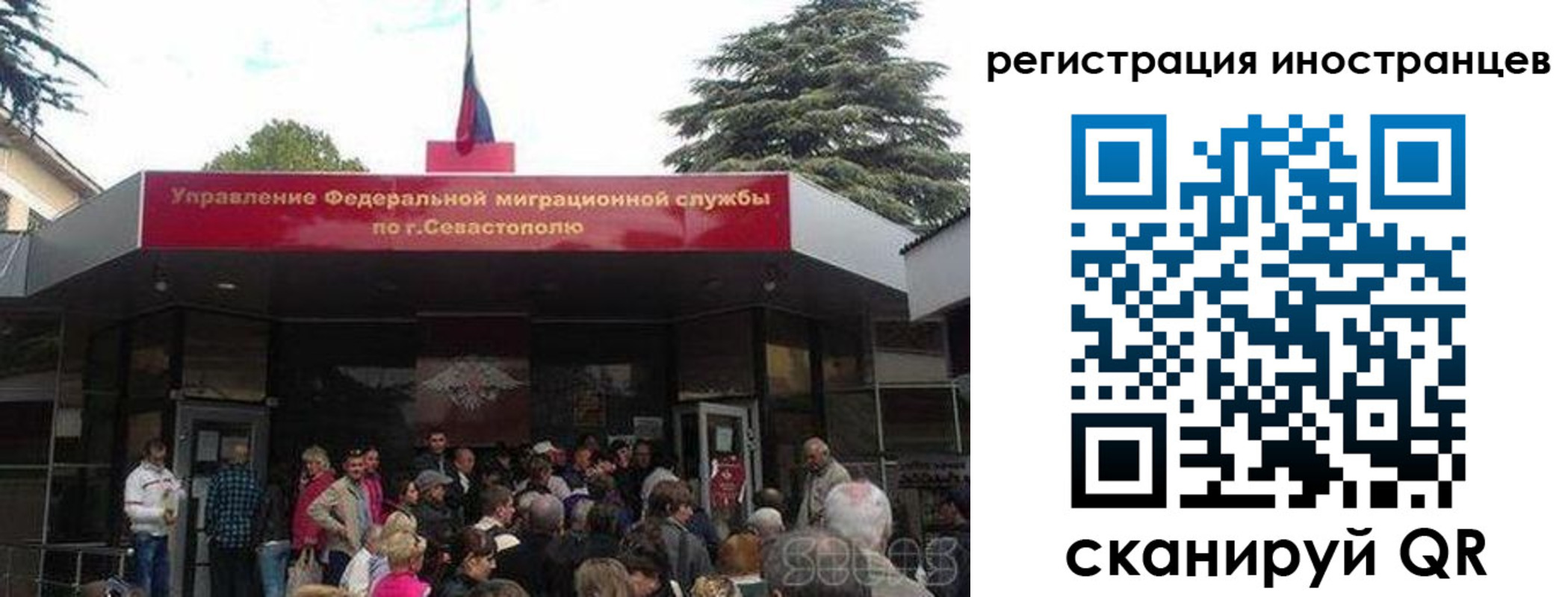 прописка в Светлом